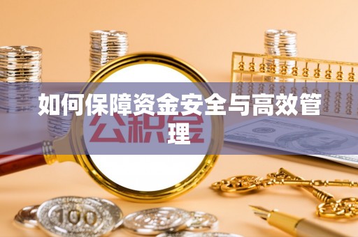 永嘉如何保障资金安全与高效管理