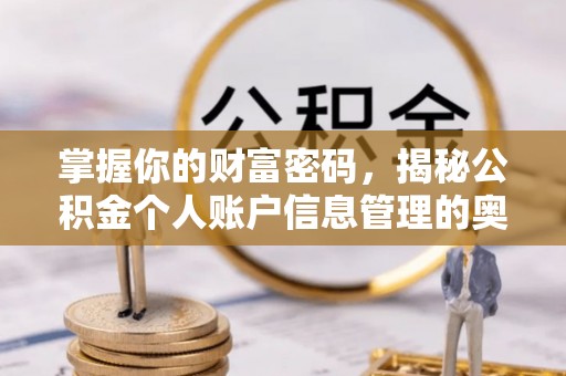永嘉掌握你的财富密码，揭秘公积金个人账户信息管理的奥秘