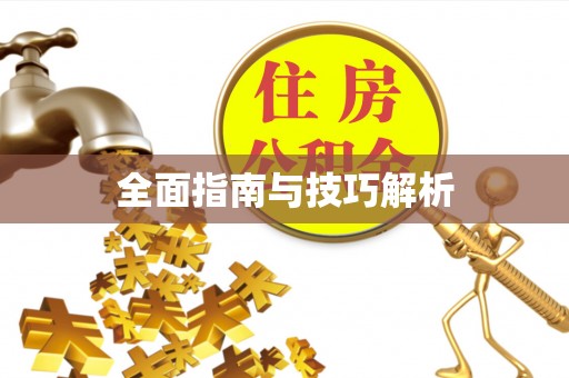 永嘉全面指南与技巧解析