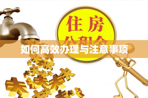 永嘉如何高效办理与注意事项
