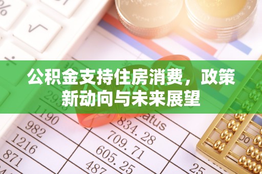 永嘉公积金支持住房消费，政策新动向与未来展望