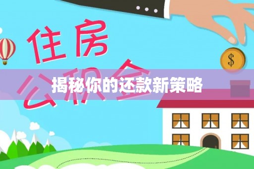 永嘉揭秘你的还款新策略