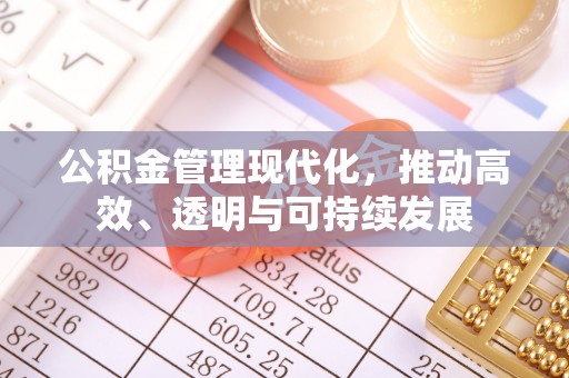 永嘉公积金管理现代化，推动高效、透明与可持续发展