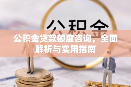 永嘉公积金贷款额度咨询，全面解析与实用指南