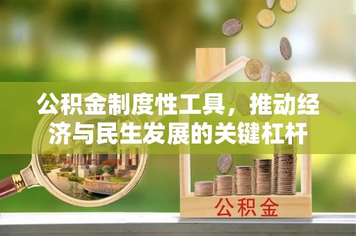 永嘉公积金制度性工具，推动经济与民生发展的关键杠杆