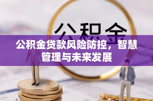 永嘉公积金贷款风险防控，智慧管理与未来发展