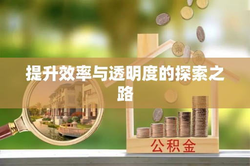 永嘉提升效率与透明度的探索之路