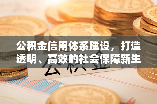 永嘉公积金信用体系建设，打造透明、高效的社会保障新生态