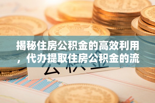 永嘉揭秘住房公积金的高效利用，代办提取住房公积金的流程与技巧