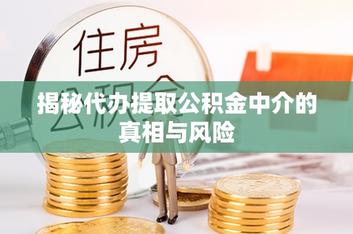 永嘉揭秘代办提取公积金中介的真相与风险