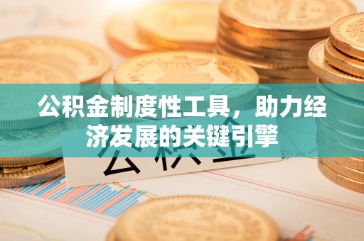 永嘉公积金制度性工具，助力经济发展的关键引擎