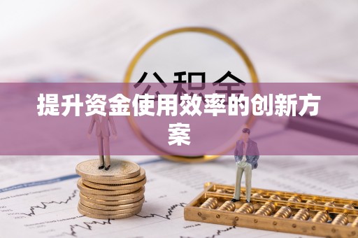 永嘉提升资金使用效率的创新方案