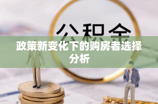 永嘉政策新变化下的购房者选择分析