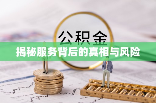 永嘉揭秘服务背后的真相与风险