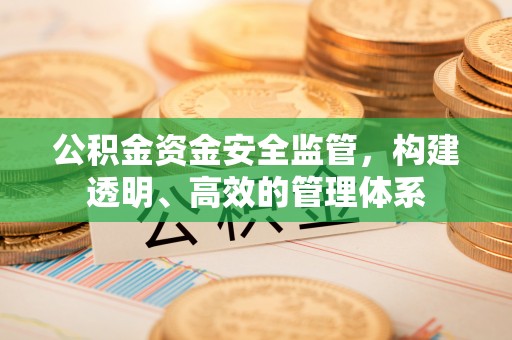 永嘉公积金资金安全监管，构建透明、高效的管理体系