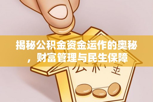 永嘉揭秘公积金资金运作的奥秘，财富管理与民生保障
