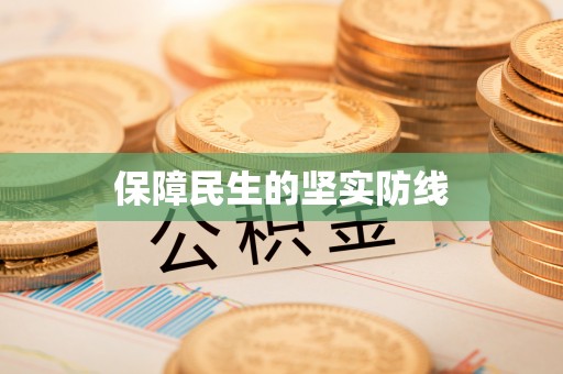 永嘉保障民生的坚实防线