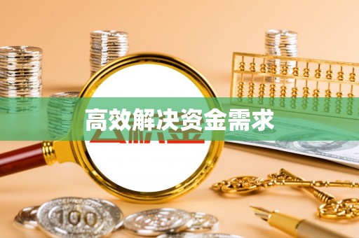 永嘉高效解决资金需求
