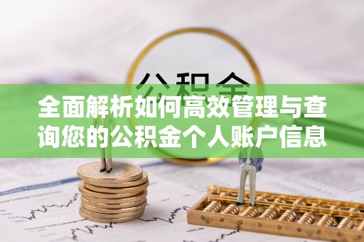 永嘉全面解析如何高效管理与查询您的公积金个人账户信息