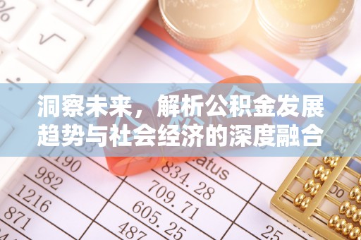 永嘉洞察未来，解析公积金发展趋势与社会经济的深度融合