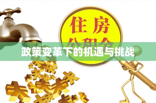 永嘉政策变革下的机遇与挑战