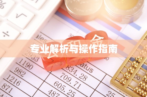 永嘉专业解析与操作指南