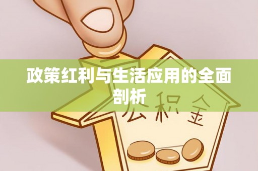 永嘉政策红利与生活应用的全面剖析