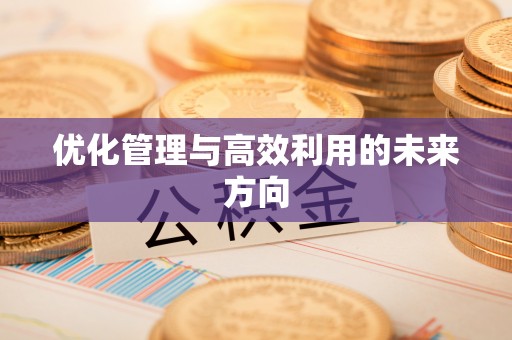 永嘉优化管理与高效利用的未来方向