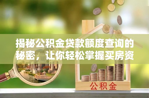 永嘉揭秘公积金贷款额度查询的秘密，让你轻松掌握买房资金规划