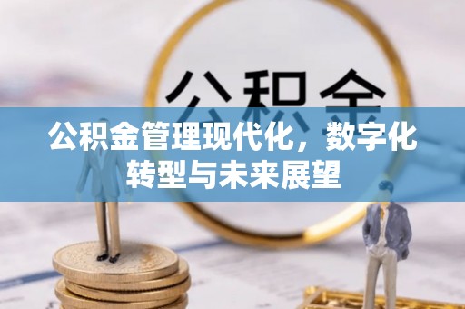 永嘉公积金管理现代化，数字化转型与未来展望