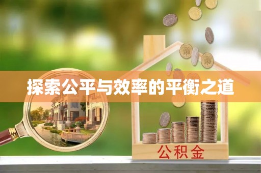 永嘉探索公平与效率的平衡之道