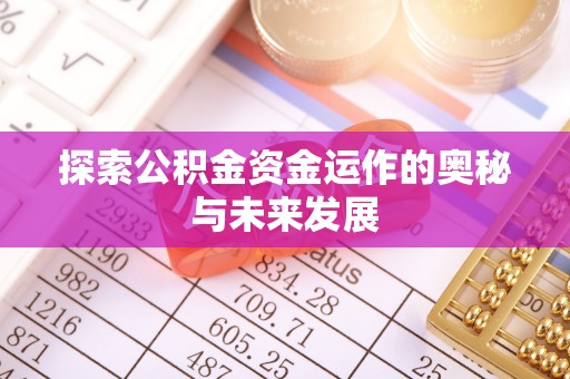 永嘉探索公积金资金运作的奥秘与未来发展