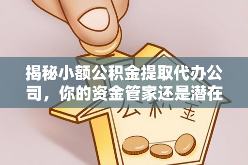 永嘉揭秘小额公积金提取代办公司，你的资金管家还是潜在风险？