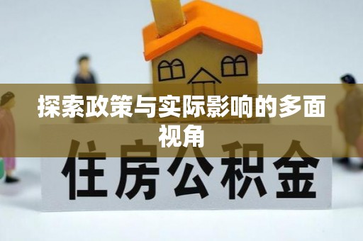 永嘉探索政策与实际影响的多面视角