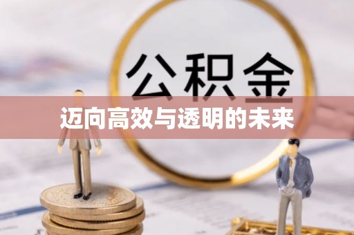 永嘉迈向高效与透明的未来