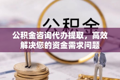 永嘉公积金咨询代办提取，高效解决您的资金需求问题