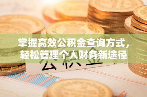 永嘉掌握高效公积金查询方式，轻松管理个人财务新途径