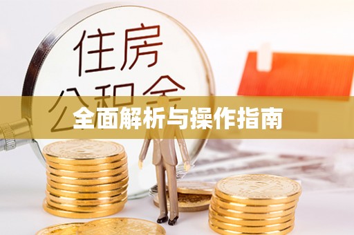 永嘉全面解析与操作指南