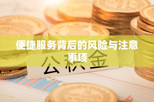 永嘉便捷服务背后的风险与注意事项