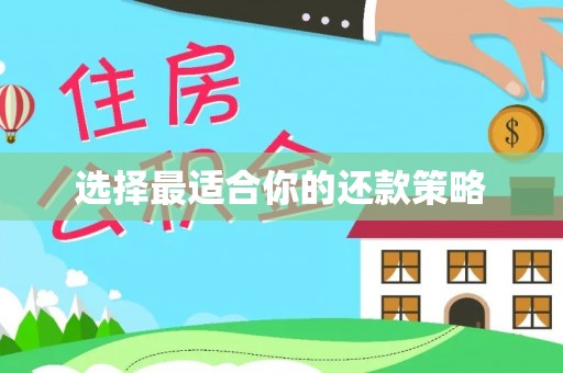 永嘉选择最适合你的还款策略