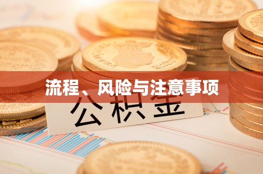 永嘉流程、风险与注意事项