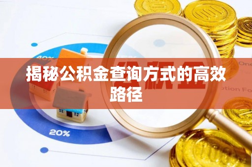永嘉揭秘公积金查询方式的高效路径
