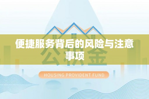 永嘉便捷服务背后的风险与注意事项