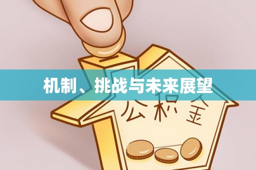 永嘉机制、挑战与未来展望